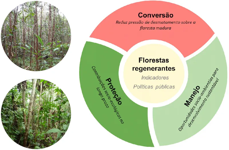 Projeto Regenera-Amazônia